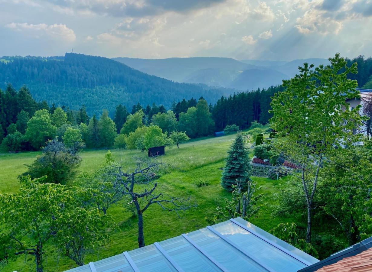 Ferienhaus Mit 5* Luxus Im Schwarzwald 아이할덴 외부 사진